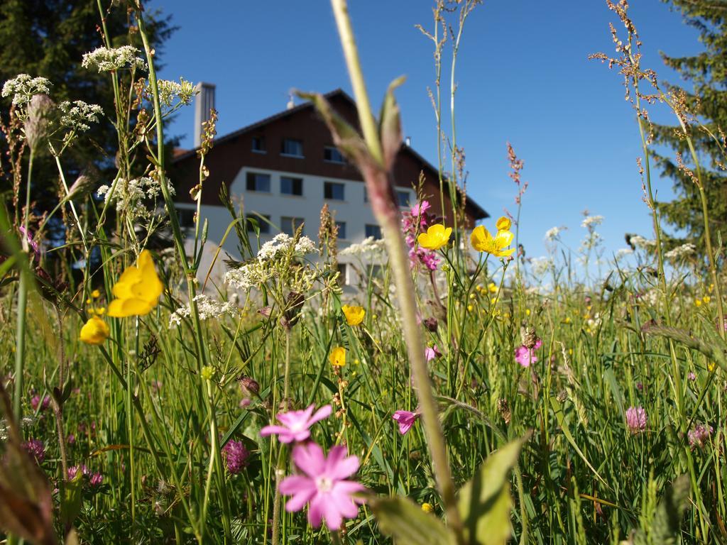 Longevilles-Mont-dʼOr La Roche Du Tresor Village Vacances المظهر الخارجي الصورة